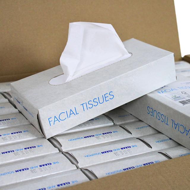KURTT Facial Tissues 2-Laags 20x20 cm (40 x 100 st.)-KURTT-Sordent