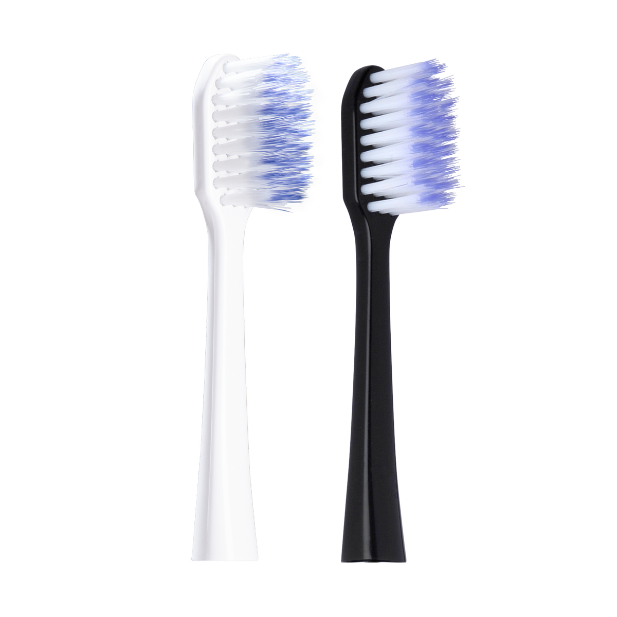 GUM® SONIC DAILY opzetborstel Zwart / Wit-GUM-Sordent