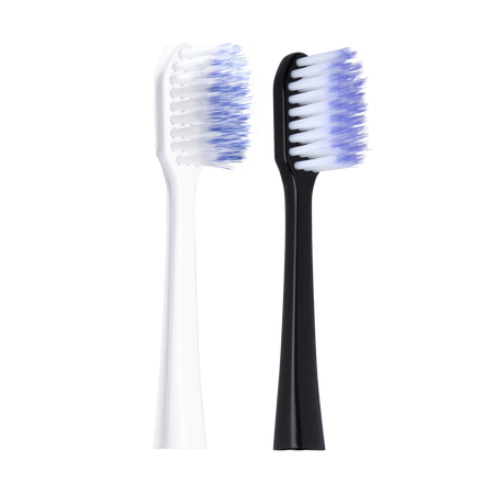 GUM® SONIC DAILY opzetborstel Zwart / Wit-GUM-Sordent