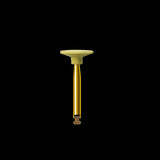 Edenta TopGloss Polijstpoints 20038RA 100 1 mm (6 st.)-Edenta-Sordent