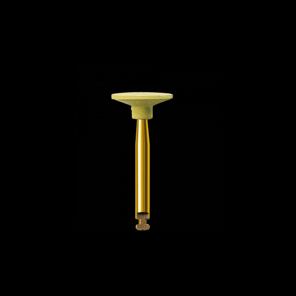 Edenta TopGloss Polijstpoints 20038RA 100 1 mm (6 st.)-Edenta-Sordent